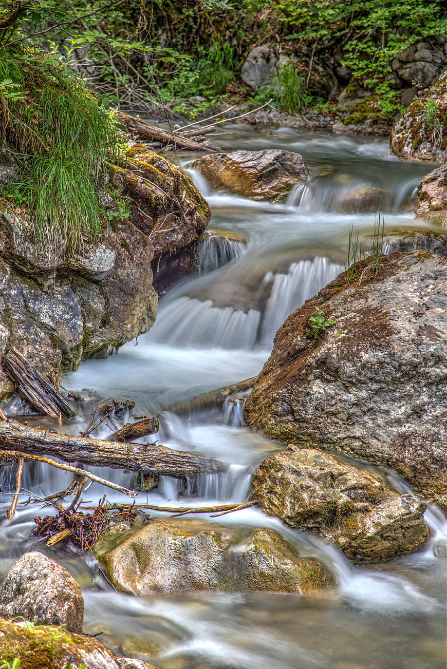 Serene Forest Stream Flowing Over Mossy Rocks