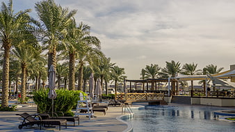 Luxury Resort Swimming Pool With Palm Trees And Lounge Chairs