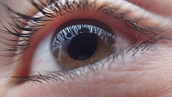 Extreme Close-Up of Human Eye with Brown Iris