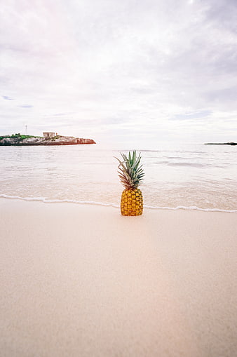 Lone Pineapple on Sandy Beach with Ocean Waves