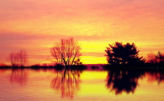 Vibrant Orange Sunset Over Calm Lake with Silhouetted Trees