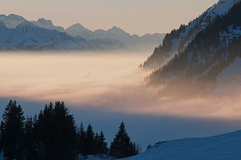 Snowy mountain peaks rising above a sea of clouds at sunrise