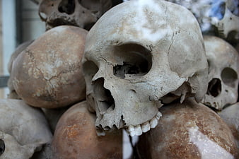 Close-up of weathered human skulls stacked in a historical memorial