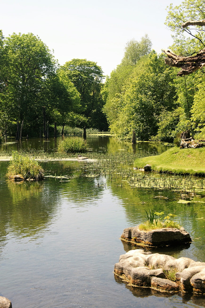 Serene Green Lake Surrounded by Lush Forest and Rocks