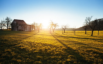 Sunrise over a rural field with a wooden barn and bare trees