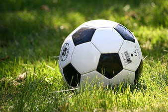 Classic black and white soccer ball on green grass