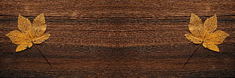 Two yellow maple leaves on dark wooden background