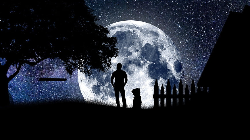 Man and dog silhouette against giant moon and starry night sky