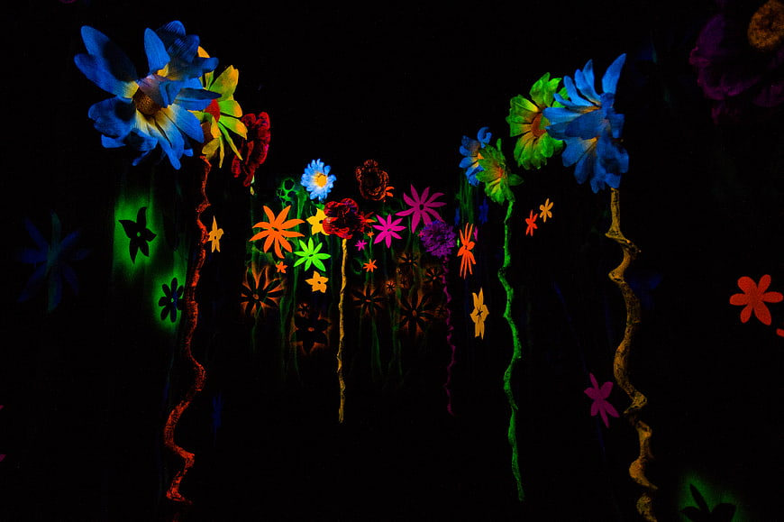 Glowing neon flowers in the dark