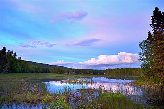 Serene Lake Landscape with Forest and Cloudy Sky