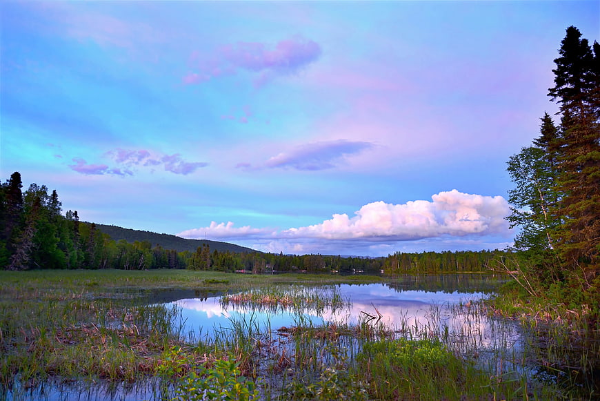 Serene Lake Landscape with Forest and Cloudy Sky