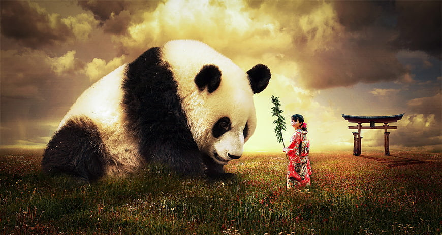 Giant Panda and Woman in Kimono in Fantasy Field
