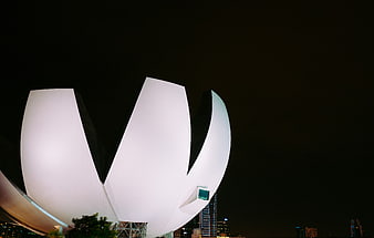 ArtScience Museum Singapore Night Architecture