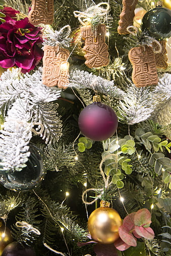 Close-up of Christmas tree with gingerbread cookies and ornaments
