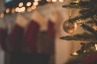 Close-up of Glittering Gold Christmas Ornament on Pine Branch