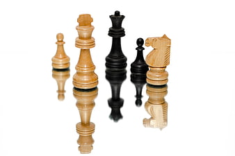 Wooden Chess Pieces on White Background with Reflection