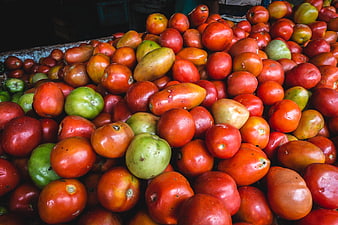Pile of fresh red and green tomatoes at a market