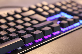Close-up of black gaming keyboard with purple and blue LED backlighting