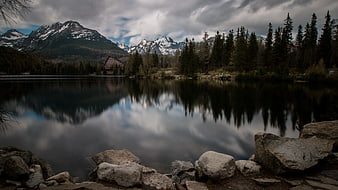 Serene Lake Reflection with Snowy Mountains and Forest