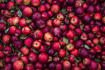 Top View of Fresh Red Apples with Leaves