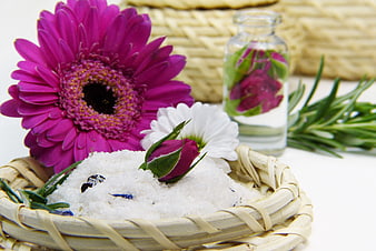 Aromatherapy Still Life With Bath Salts, Gerbera, Rosebud, And Essential Oil