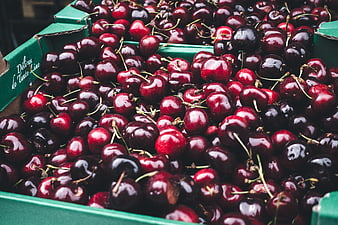 Fresh Red Cherries in Green Cardboard Box