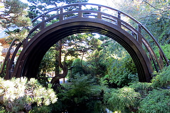 Traditional Japanese arched wooden bridge in serene garden