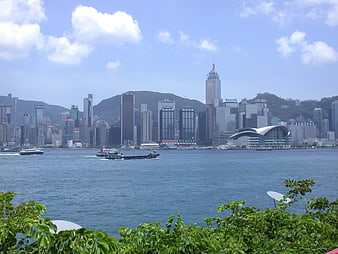 Hong Kong Cityscape View From Victoria Park With Foreground Foliage