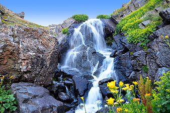 Mountain waterfall cascading over rocks with yellow wildflowers