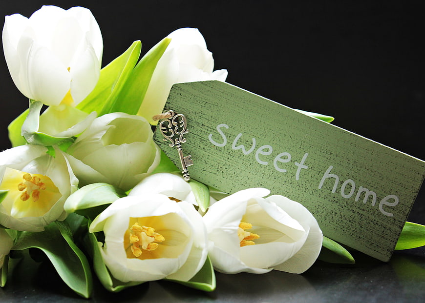 White tulips and vintage key with sweet home sign