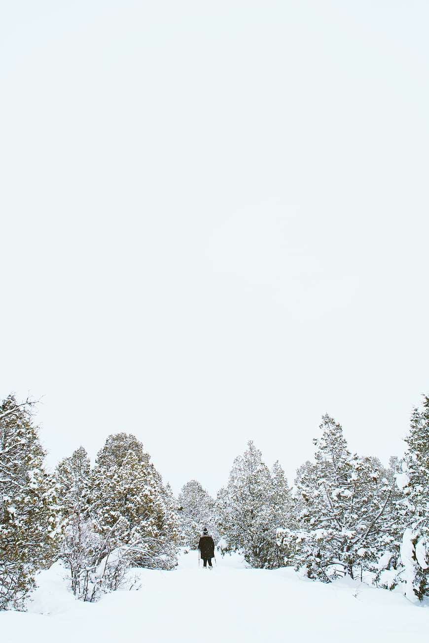 Lone Skier Walking Through Snowy Pine Forest