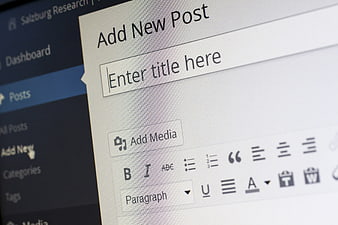 Close-up of WordPress Add New Post Editor Interface