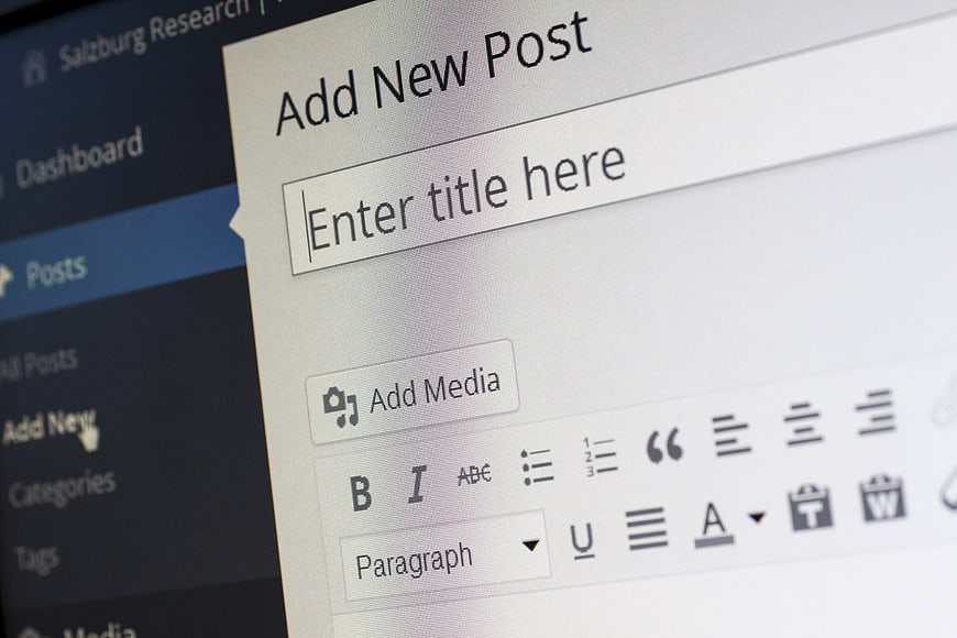 Close-up of WordPress Add New Post Editor Interface