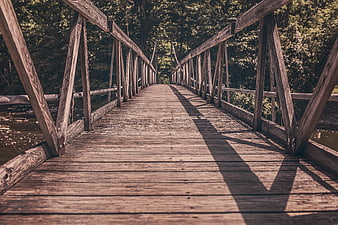 Wooden Bridge in Forest with Leading Lines