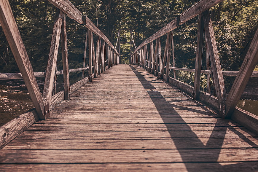 Wooden Bridge in Forest with Leading Lines