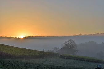Misty Sunrise Over Rolling Hills and Vineyard Landscape
