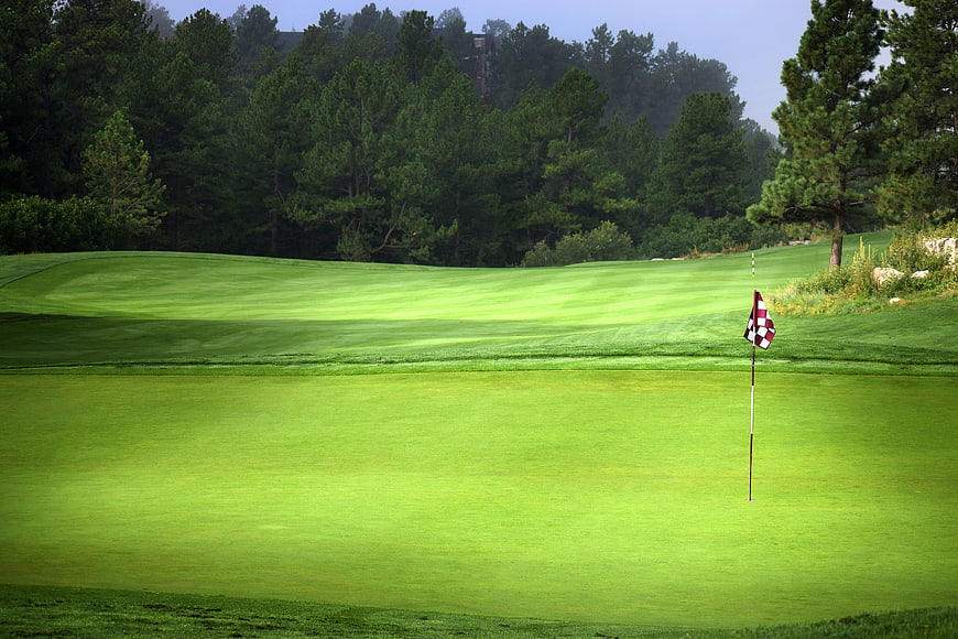 Serene Golf Course Green with Checkered Flag and Pine Trees
