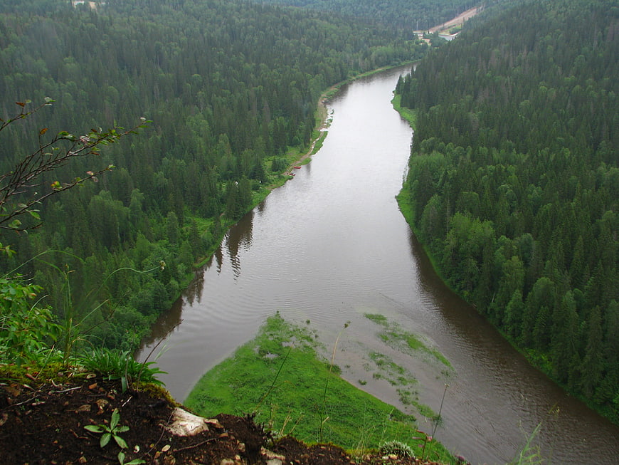 High Angle View of River Winding Through Dense Green Forest