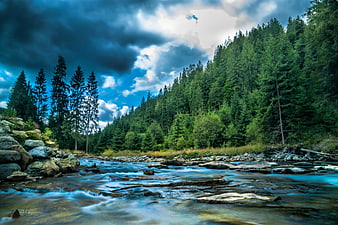 Flowing Mountain River Through Pine Forest Under Dramatic Sky