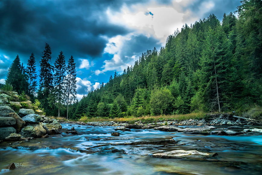 Flowing Mountain River Through Pine Forest Under Dramatic Sky