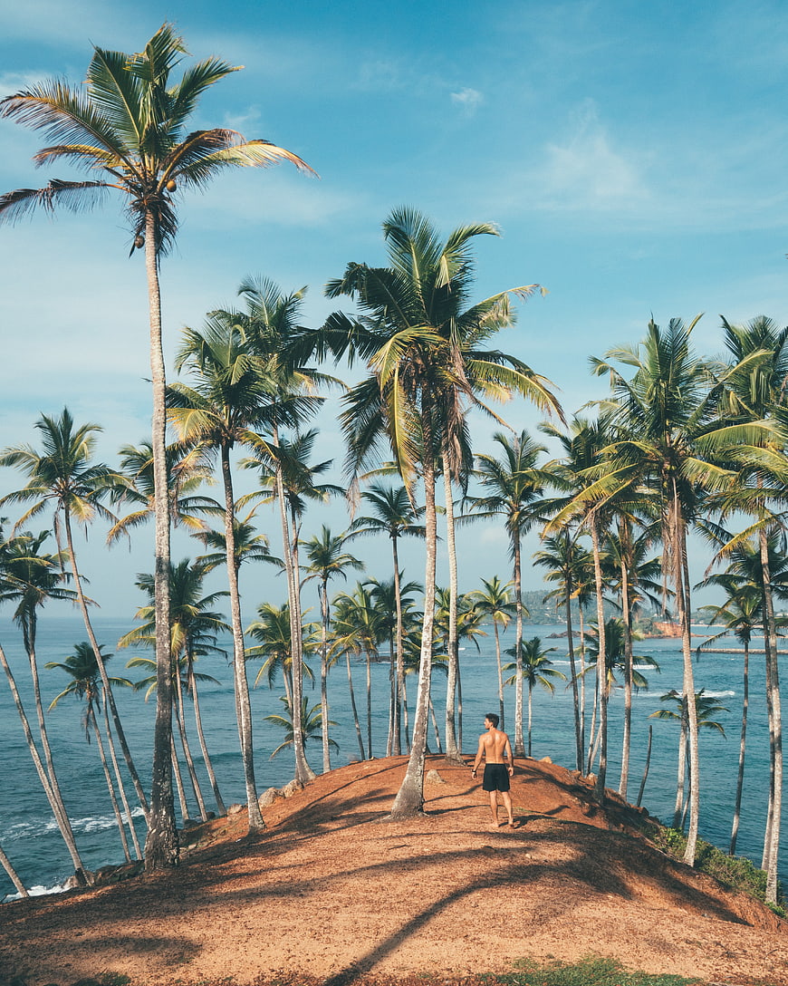Man Walking Among Palm Trees on Tropical Cliff Overlooking Ocean