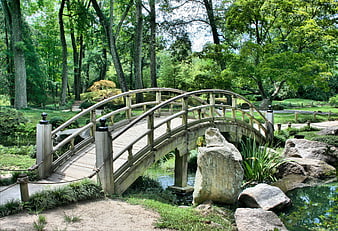 Wooden arched bridge in serene Japanese garden