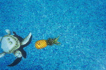Pineapple floating in blue swimming pool with turtle mosaic