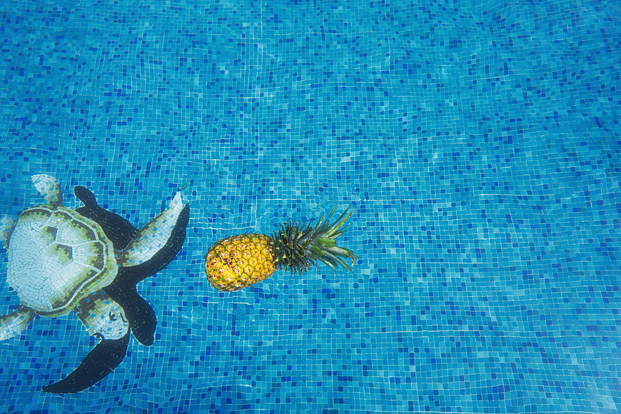 Pineapple floating in blue swimming pool with turtle mosaic