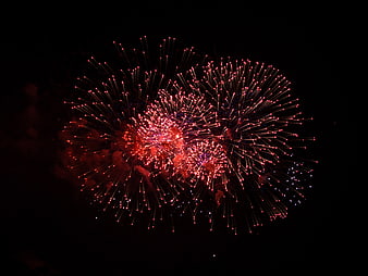 Red and Gold Fireworks Bursting in Night Sky