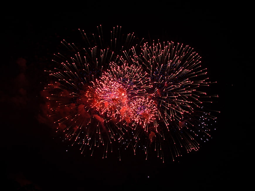 Red and Gold Fireworks Bursting in Night Sky
