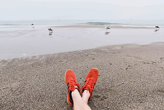 Orange Sneakers on Sandy Beach with Seagulls
