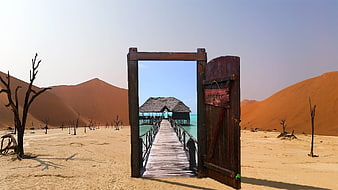Open wooden door in desert revealing tropical paradise