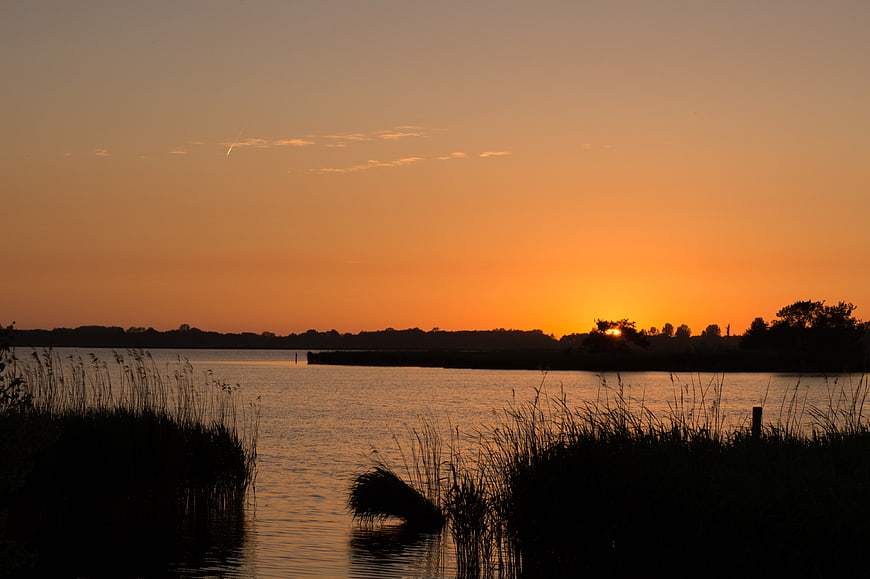 Silhouette of reeds against orange sunset over calm lake