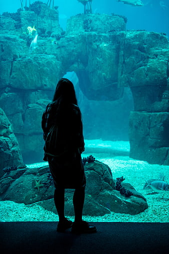 Silhouette of Woman Watching Large Aquarium Tank